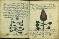 دانلود کتاب مرجانه شاهی